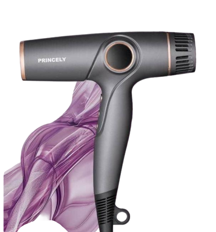 سشوار حرفه ای پرنسلی مدل PR281AT