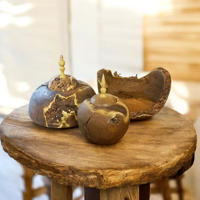 مهنوش صوفیانی