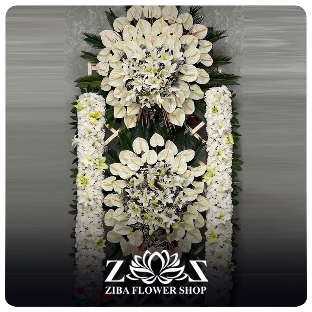 توضیحات تصویر