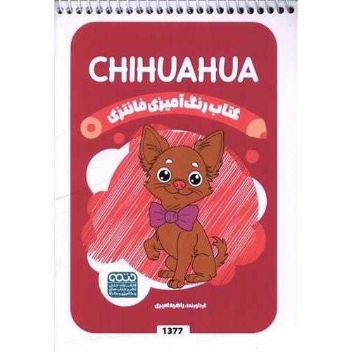 کتاب رنگ آمیزی فانتزی (1377) نشر حتمی از راضیه امیری
