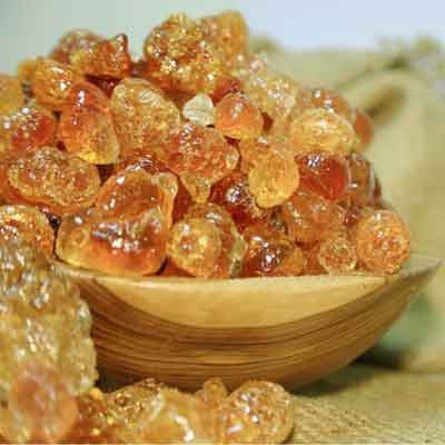 صمغ عربی (اکاسیا) اصل افریقا