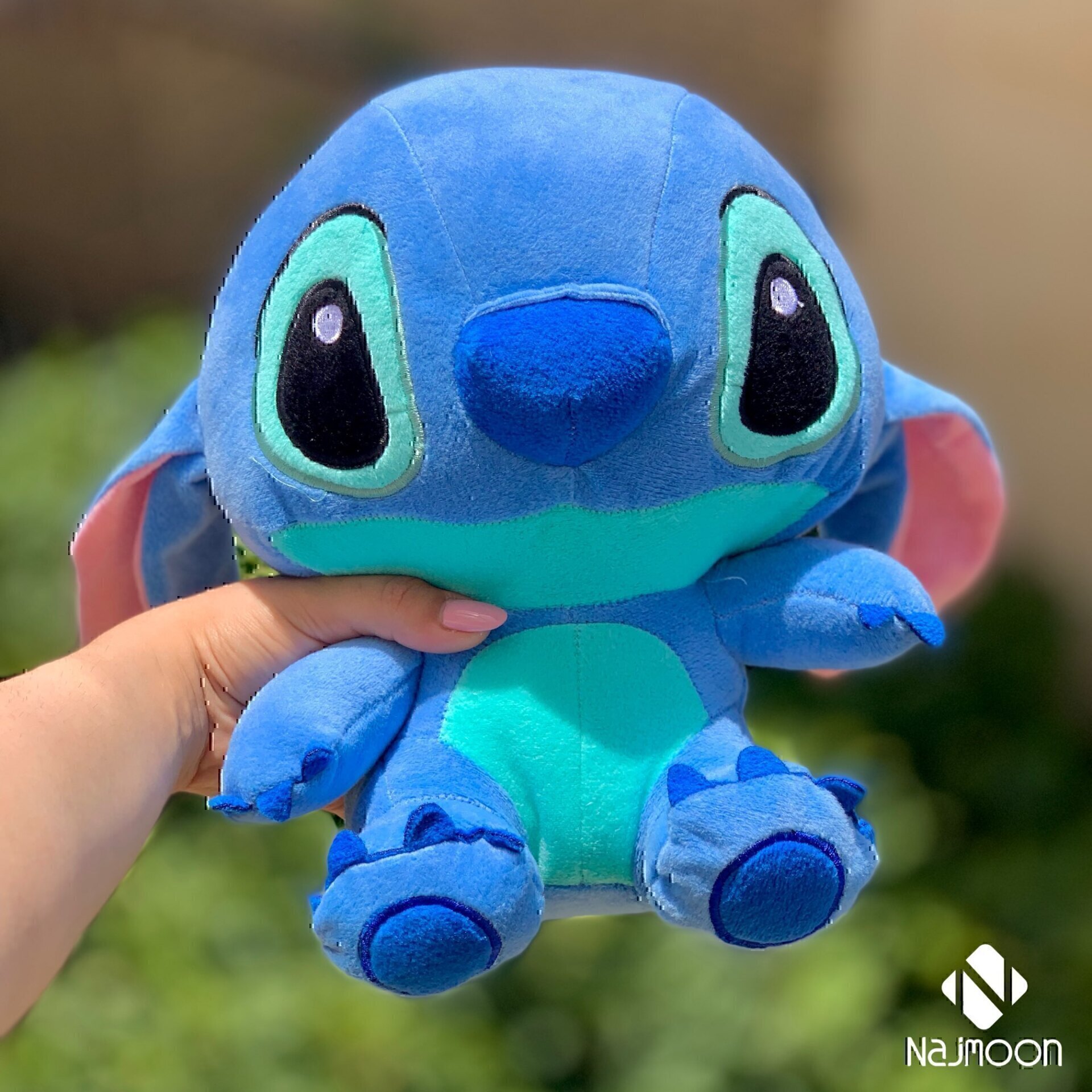 توضیحات تصویر