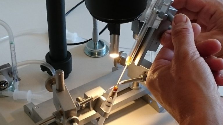 دوره آموزش تلقیح ملکه