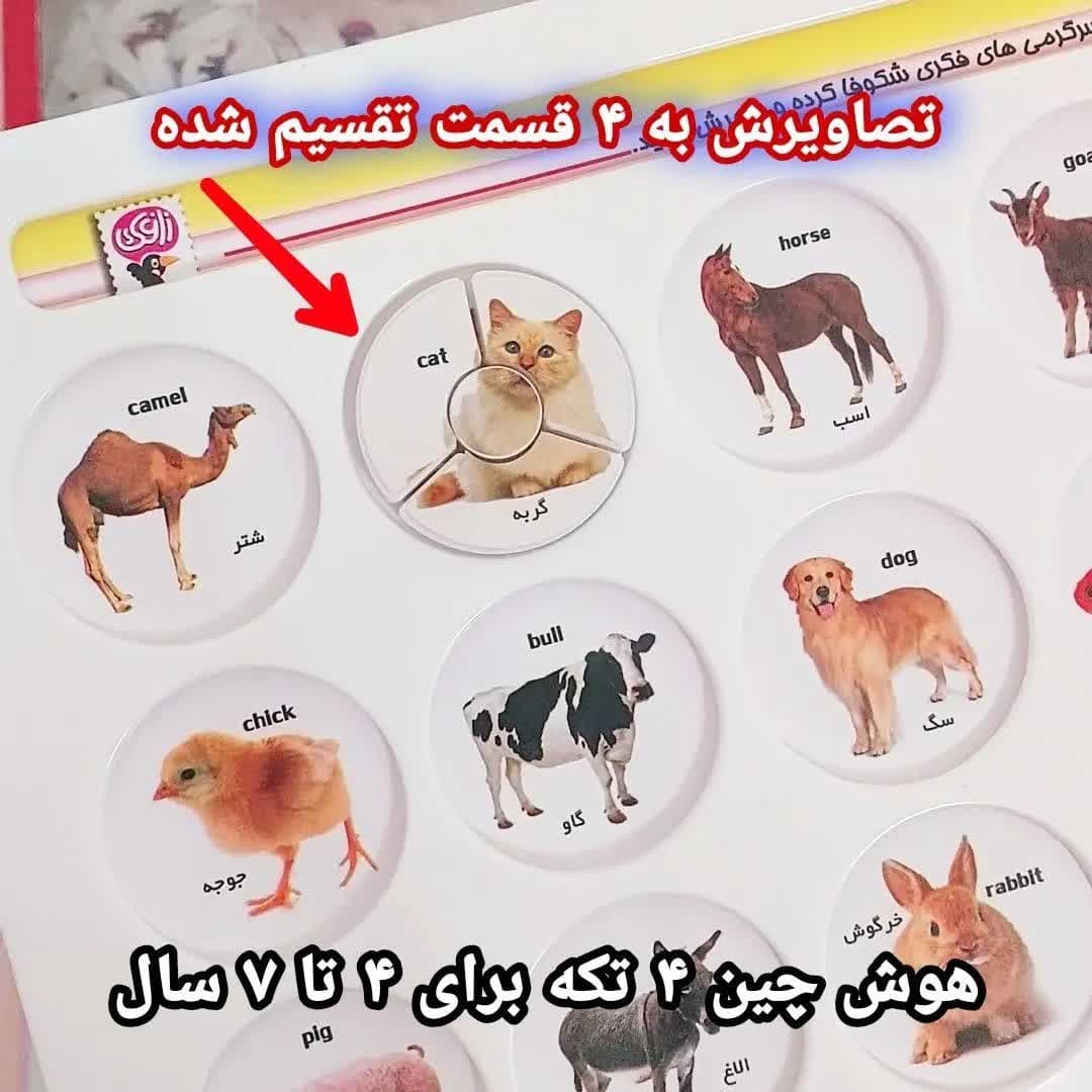 اسباب بازی آموزشی هوش چین 4 تکه
