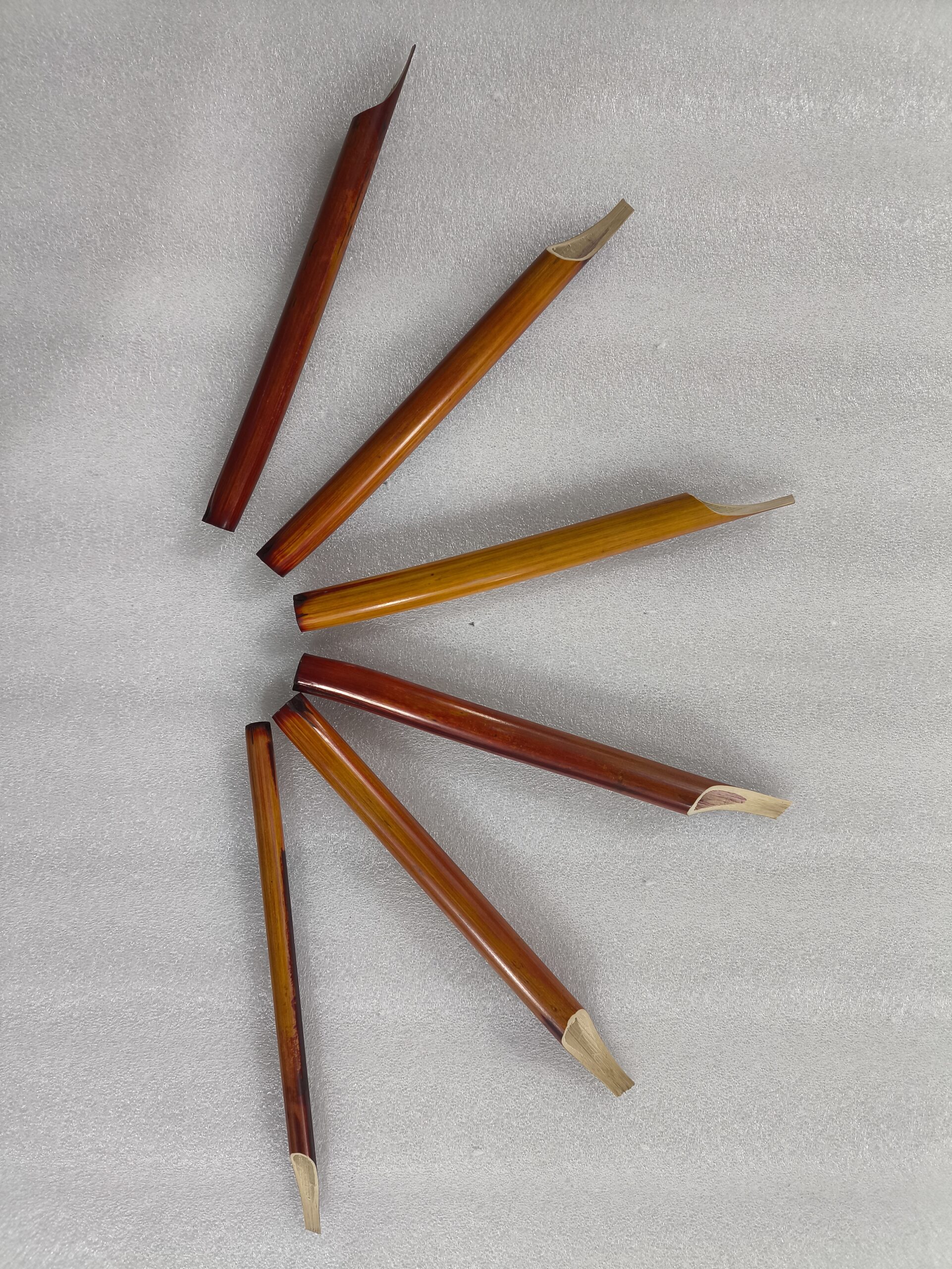 قلم نی شمالی درشت رنگی