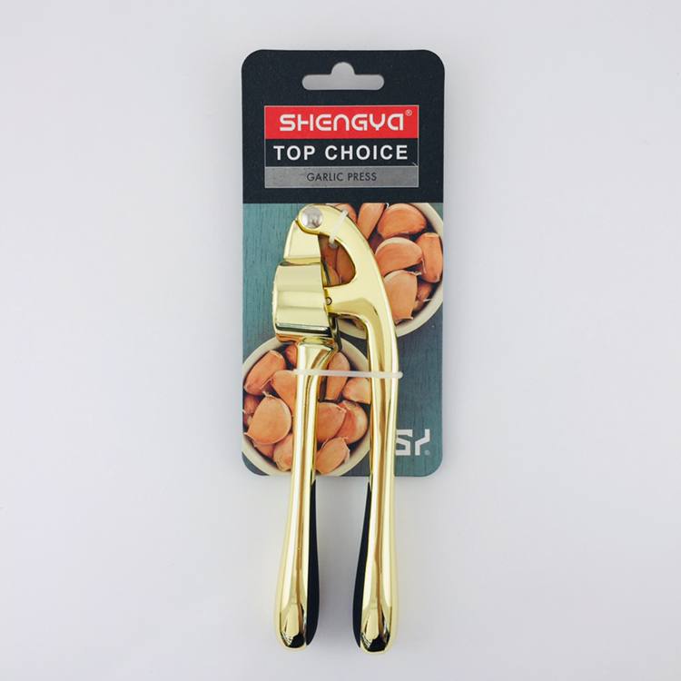 سیر له کن شنگیا