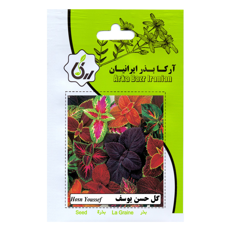 بذر گل حسن یوسف آرکا بذر ایرانیان مدل C127