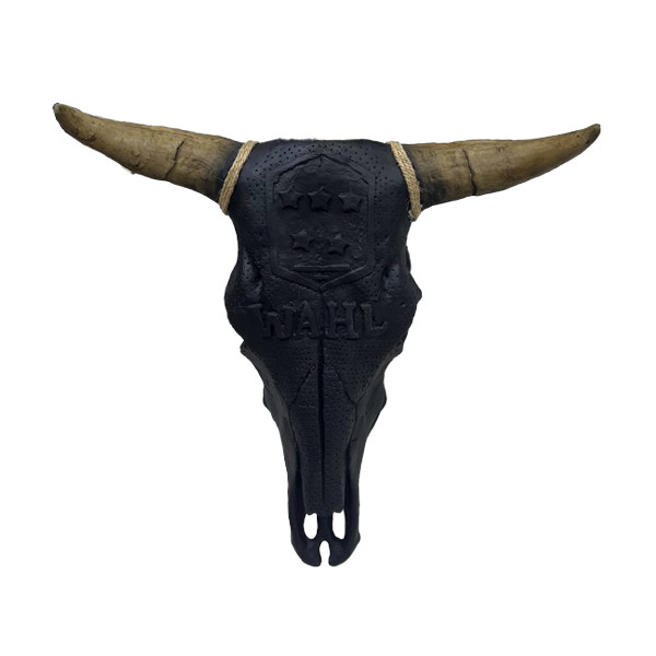 توضیحات تصویر