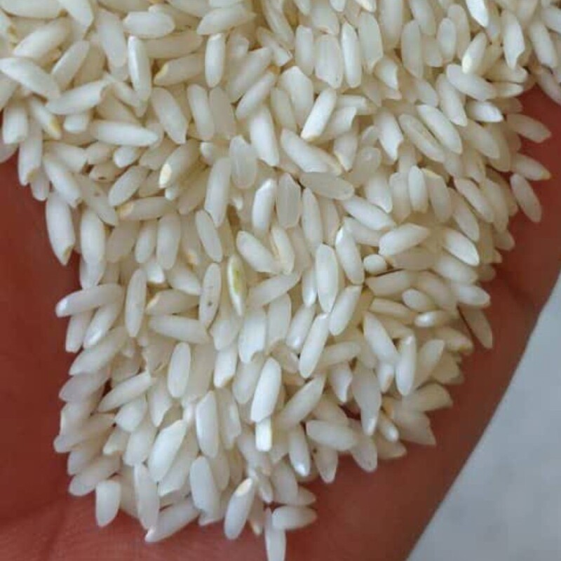 برنج عنبر بو شوشتری  (ارسال رایگان) 1 کیلویی،تضمین کیفیت