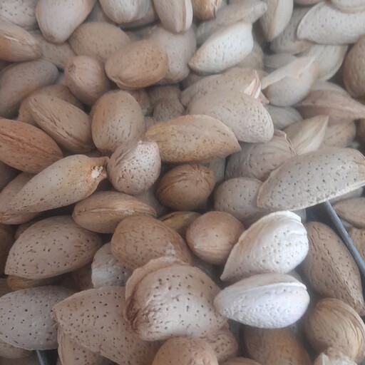 بادام سنگی محلی یک کیلو 150000تومان