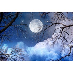 آسمان مجازی طرح ماه طلق سفید 1.5 میل 6 تایل (تایلی  131 )  پس کرایه