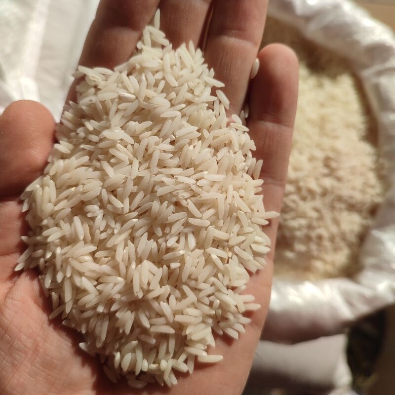 برنج طارم هاشمی فوق ممتاز گونی 10 کیلویی ارسال رایگان