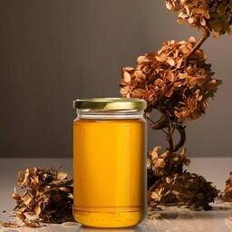 عسل طبیعی گون و آویشن یک کیلویی