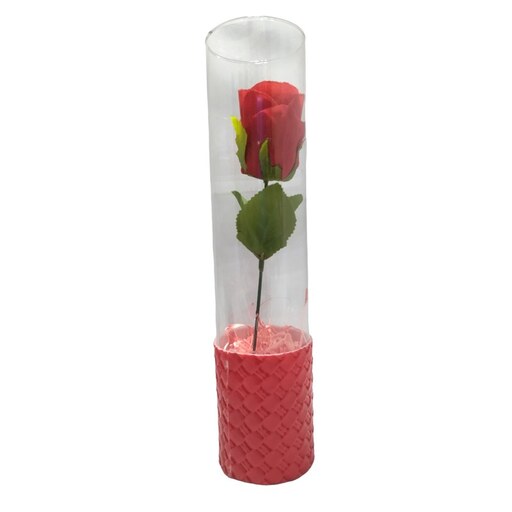 خرید گل رز  قرمز ولنتاین داخل شیشه استوانه ای زیبا 