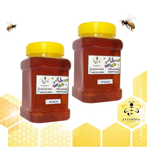 عسل چهل گیاه ممتاز (پک 2 عددی 1800 گرم)10 درصد تخفیف با ارسال رایگان 
