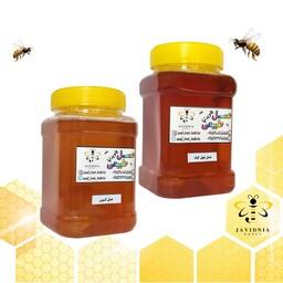 عسل گون و چهل گیاه(پک 2 عددی 1800 گرم)10 درصد تخفیف با ارسال رایگان 