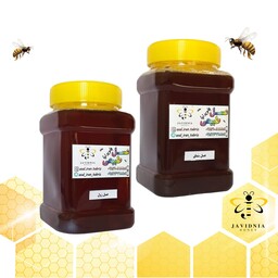 عسل درمانی زول و سماق (پک 2 عددی 1800 گرم) 10 درصد تخفیف با ارسال رایگان 