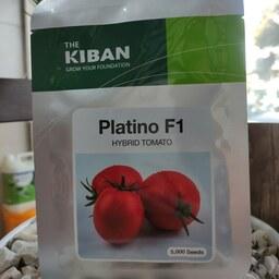 بذر گوجه فرنگی هیبرید پلاتینو PLATINO F1 ، تیپ میوه تخم مرغی (مشابه متین)، پاکت 5000 عددی