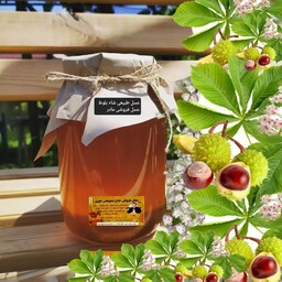 عسل طبیعی شاه بلوط(عسل فروشی مادر )