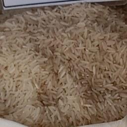 برنج فجر گرگان