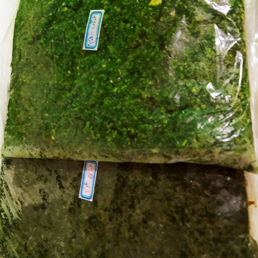 سبزی خورشتی خوزستانی اماده طبخ  به صورت پاک کردن دستی و شستن به صورت خیس خوردن در اب و گند زدایی شدن 