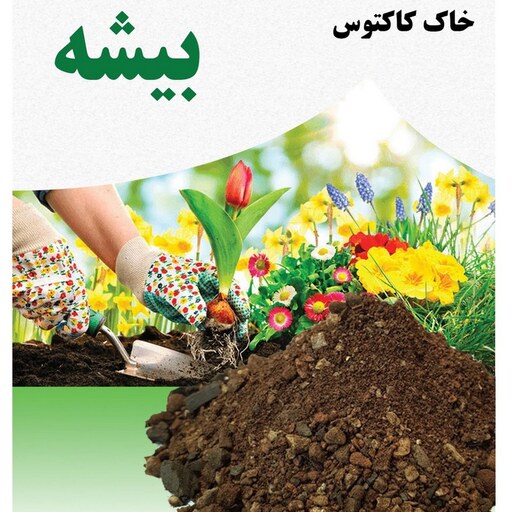 خاک کاکتوس غنی شده درجه 1 یک کیلویی