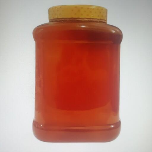 عسل طبیعی گون گز خام ارگانیک ساکارز 3 درصد 1 کیلویی (مستقیم از زنبوردار)

