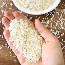 برنج فجر سوزنی