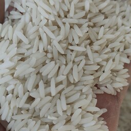 برنج طارم فریدونکنار اعلا ده کیلویی