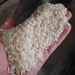 برنج محلی کشت دوم، فریدونکنار، فوق اعلا، کشیده و دانه بلند، 10 کیلویی،  ارسال با باربری بصورت پس کرایه
