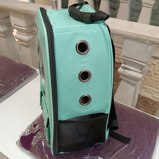 کیف حمل گربه سبز آبی 