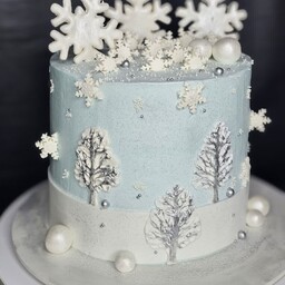 کیک تولد طرح زمستان  به وزن دو کیلو فیلینگ موز و گردو به همراه جعبه تحویل حضوری یا ارسال برعهده مشتری