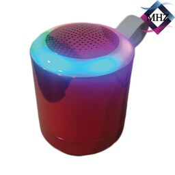 اسپیکر SPEAKER بلوتوثی مدل WKS-313s