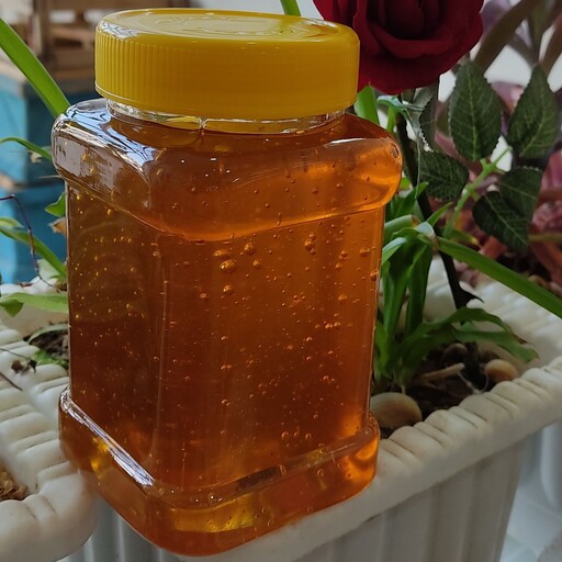 عسل طبیعی سبلان یک کیلویی مناسب مصرف روزانه خوش طعم 