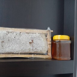 عسل خارشتر طبیعی با ساکارز زیر صفر کاملا ارگانیک به همراه مدرک معتبر و قابل پیگیری از لابراتوار دانشگاه شهید بهشتی 
