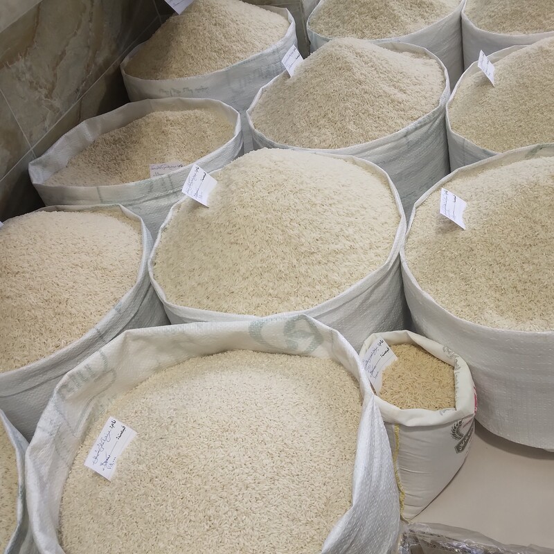 500  کیلو  برنج هاشمی دم سیاه استخوانی