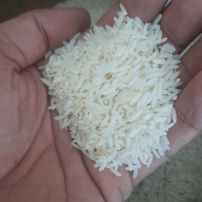 برنج طارم هاشمی              درجه یک            (10 کیلوی )