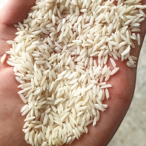 برنج طارم هاشمی فوق اعلا  ( ده کیلوگرمی)