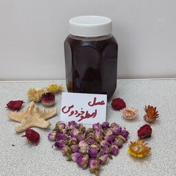 عسل طبیعی اسطخودوس با ساکارز 0.2 و پرولین 806 اعلا آرامبخش عسل اسطوخودوس  اسطوخودس(یک کیلوئی))