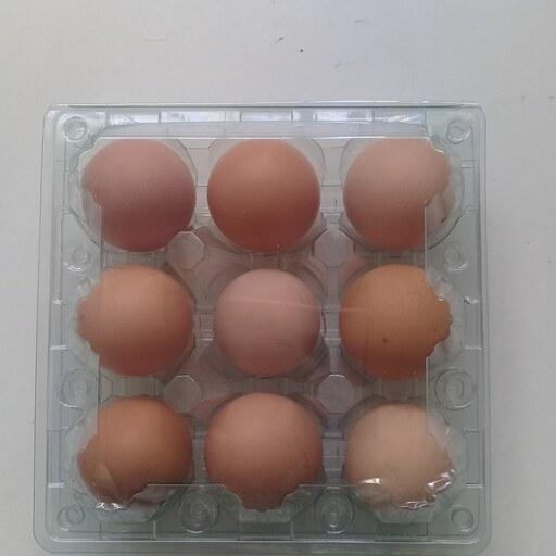 تخم مرغ محلی 30عددی  