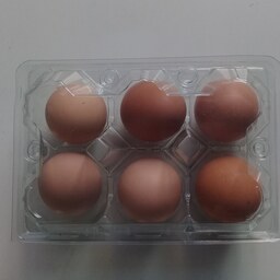 تخم مرغ محلی  6عددی