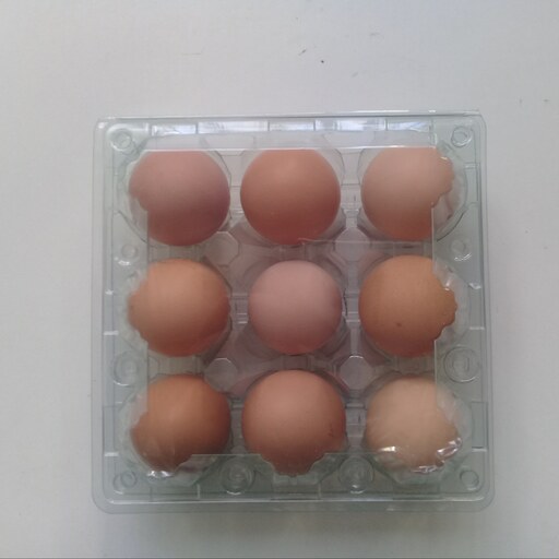 تخم مرغ محلی 30عددی  