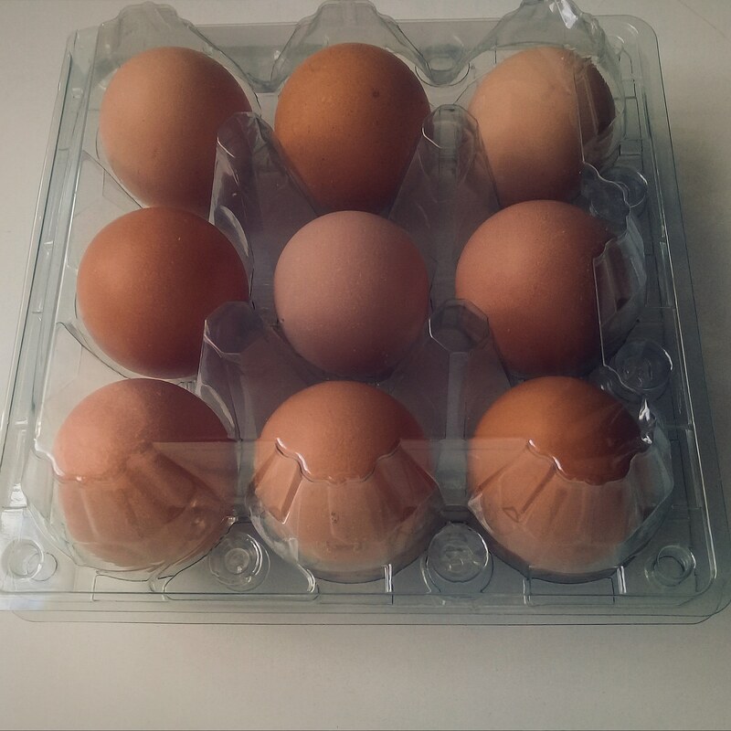 تخم مرغ محلی 9عددی