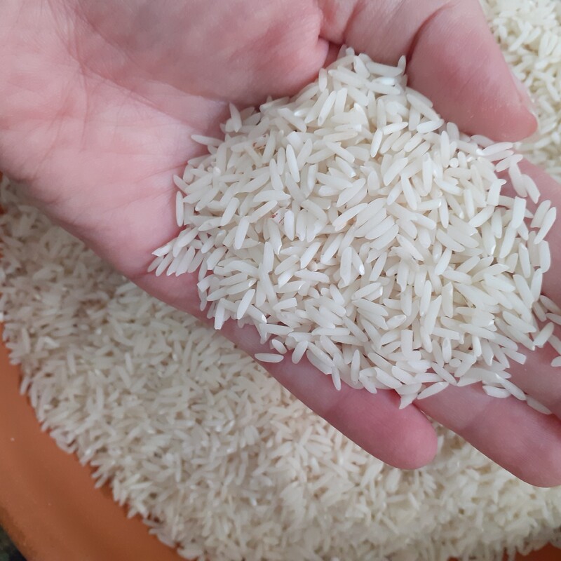 برنج صدری زرد دم اعلا آستانه 5 کیلویی