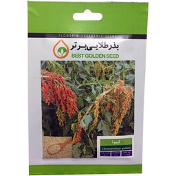 بذر گیاه دارویی کینوا بذر طلایی برتر کد BZT-104