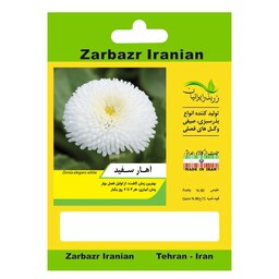 بذر گل آهار سفید زربذر ایرانیان کد ZBP-65