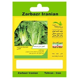 بذر کاهو رسمی تابستانه زربذر ایرانیان کد ZBP-41 