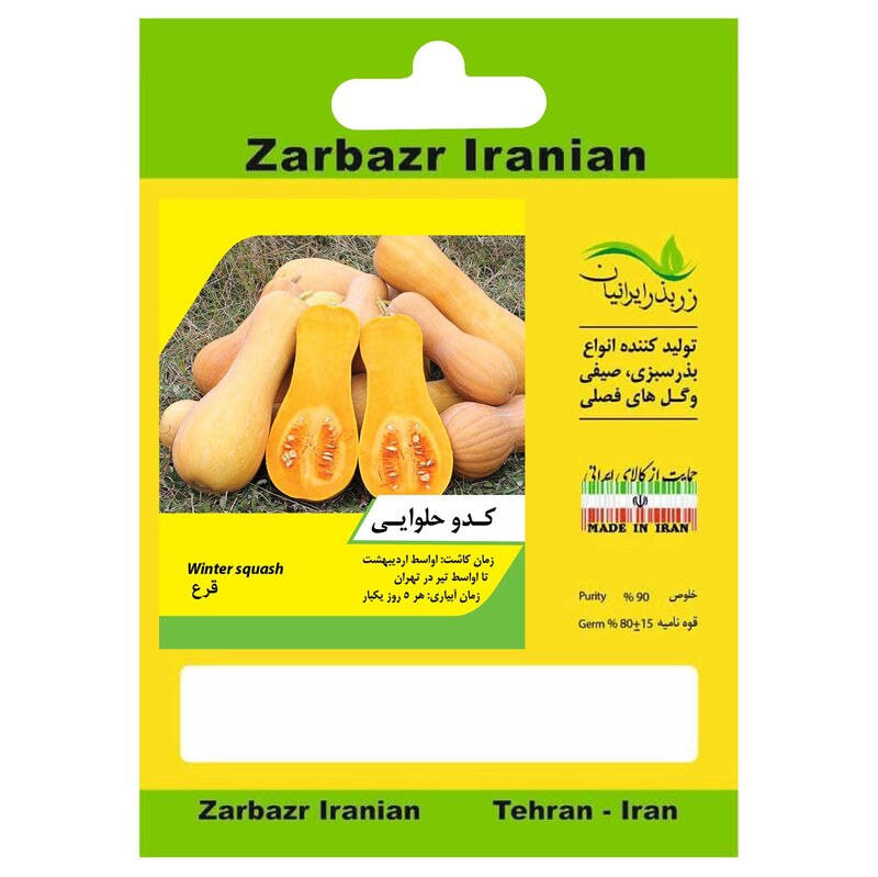 بذر کدو حلوایی زربذر ایرانیان کد ZBP-36