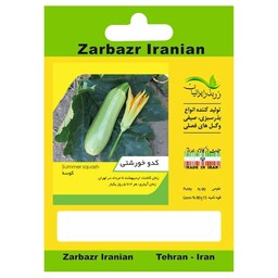 بذر کدو خورشتی زربذر ایرانیان کد ZBP-29