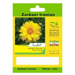 بذر گل اشرفی زرد زربذر ایرانیان کد ZBP-58